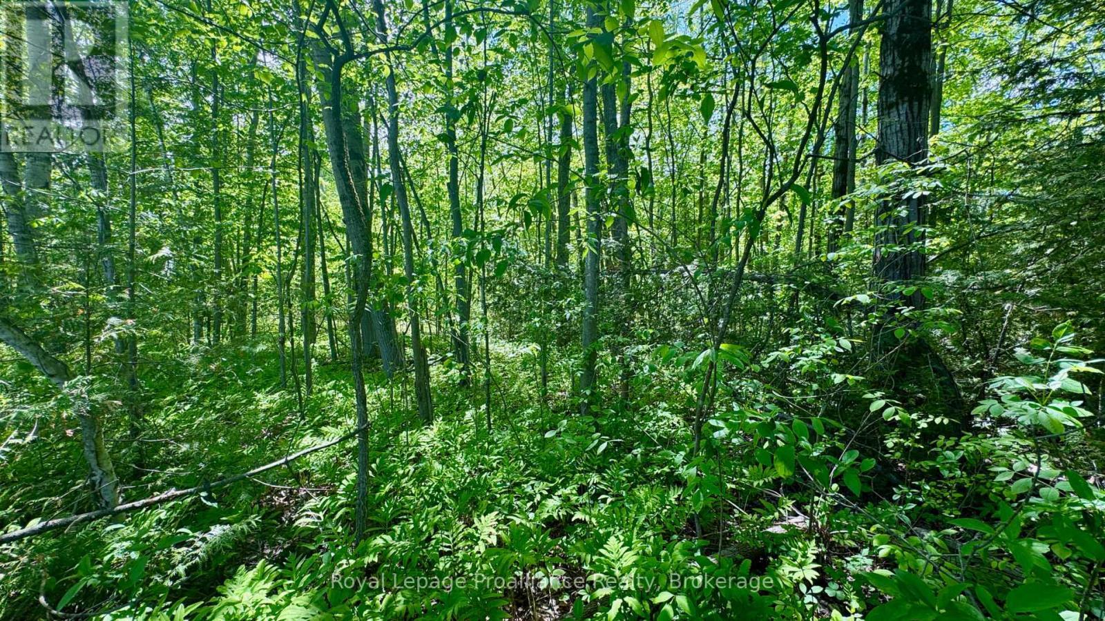 0 Teal Road, Quinte West (Murray Ward), ON