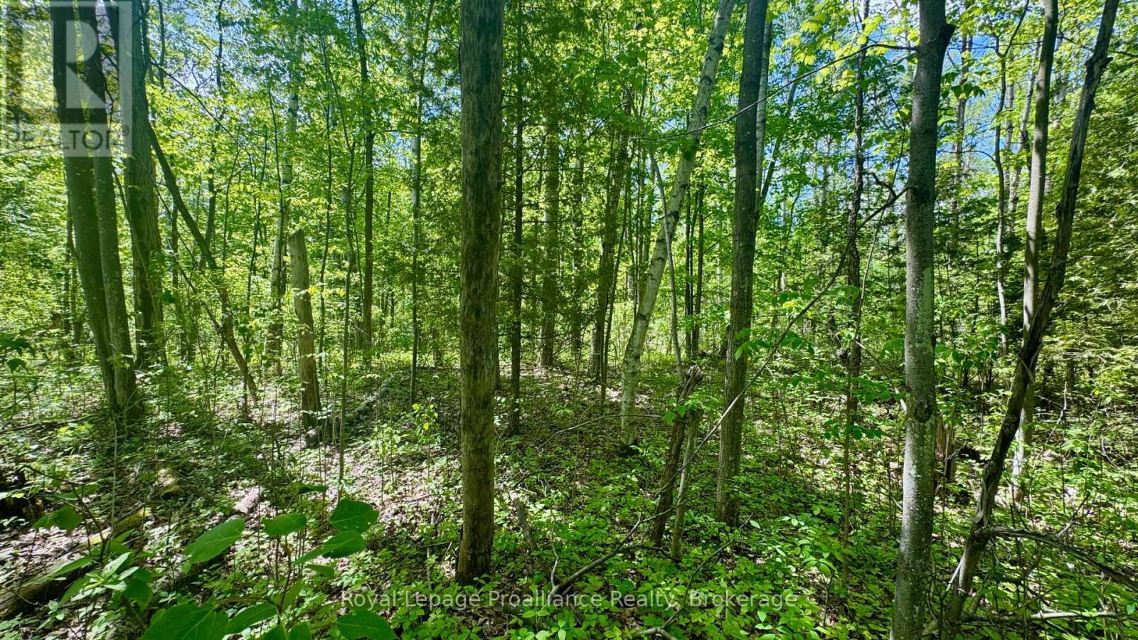 0 Teal Road, Quinte West (Murray Ward), ON