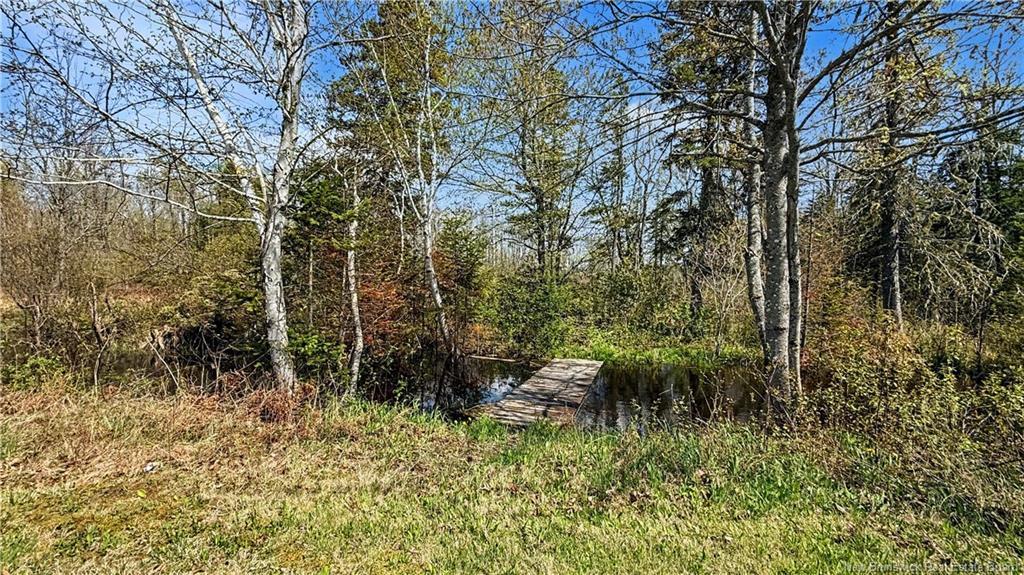 80 Saint Pierre, Rogersville, NB