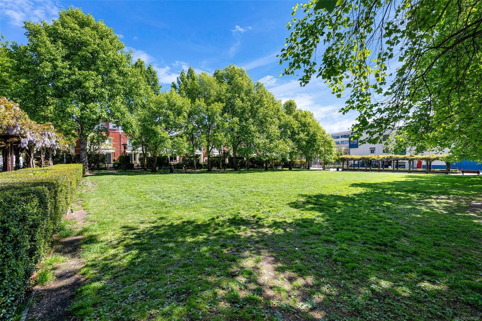 #109-380 Waterfront Cres, Victoria, BC - Outdoor