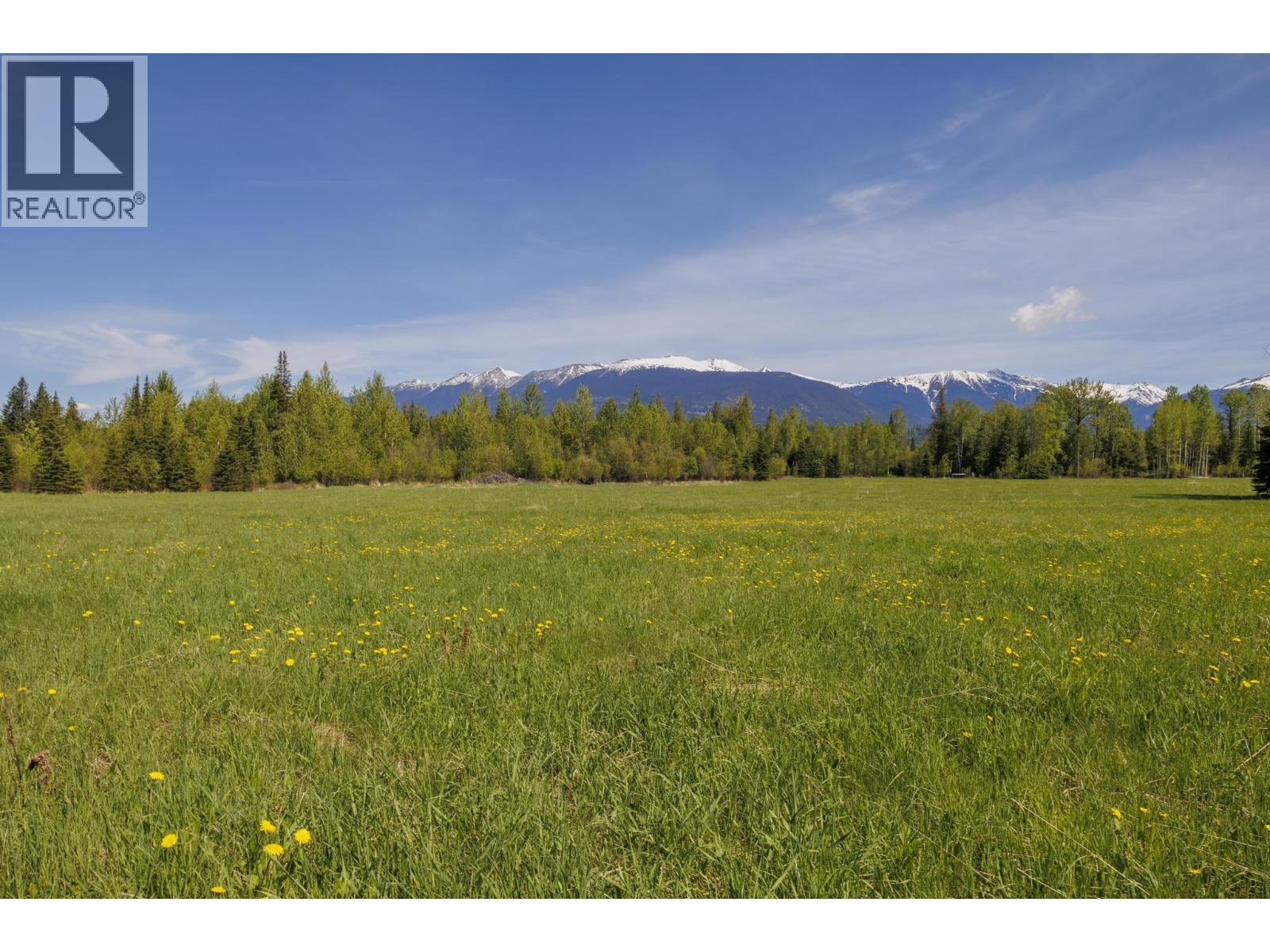 8985 Crescent Spur Road, Mcbride, BC - Outdoor With View
