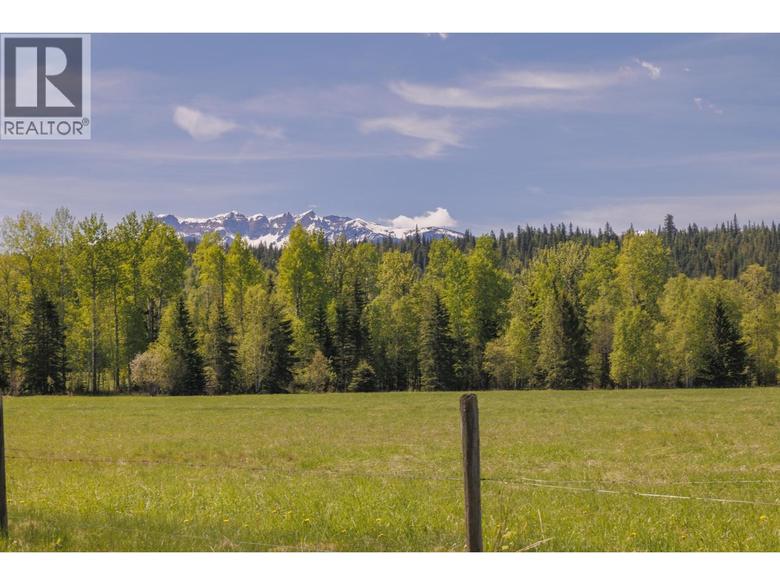 8985 Crescent Spur Road, Mcbride, BC - Outdoor With View