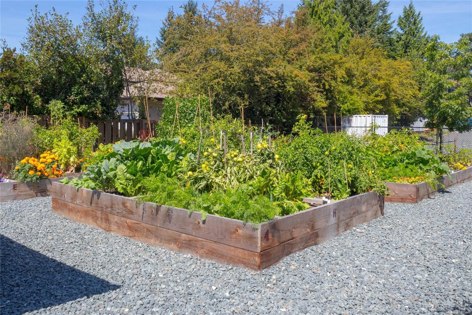 #105-745 Travino Lane, Saanich, BC - Outdoor
