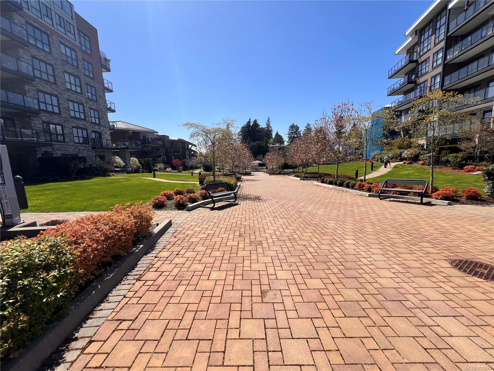 #105-745 Travino Lane, Saanich, BC - Outdoor