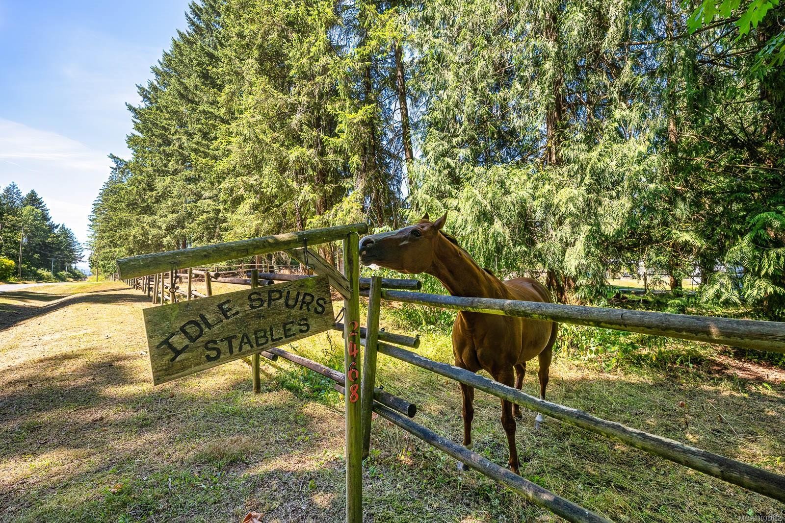 2468 Endall Rd, Black Creek, BC