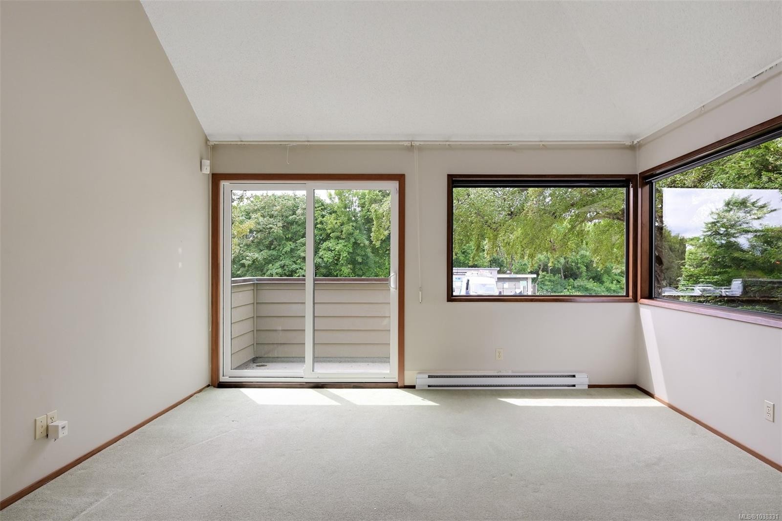 558 Dallas Rd, Victoria, BC - Photo Showing Other Room