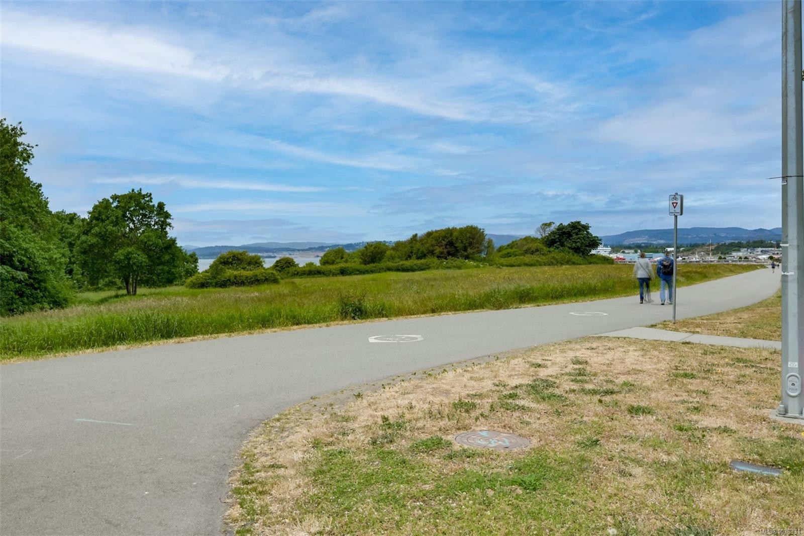 558 Dallas Rd, Victoria, BC - Outdoor With View