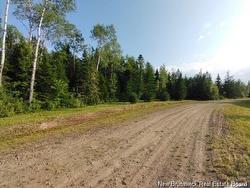 Lot-15-3 Route 134 Sainte-Anne-De-Kent, NB E4S 1E7