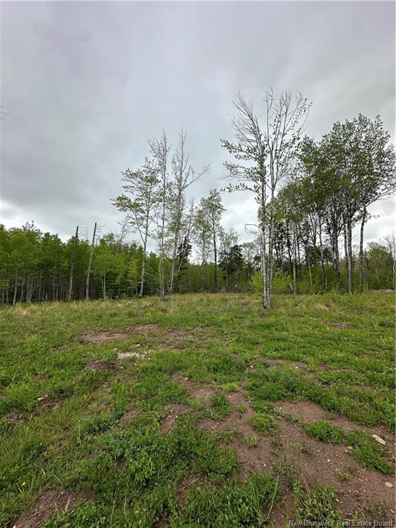 117 Alward Rd, Havelock, NB