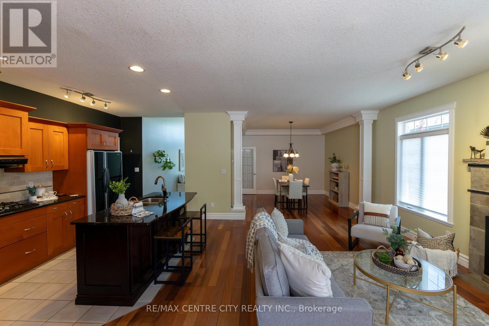 19 Hamilton Street, North Middlesex (Ailsa Craig), ON - Indoor With Fireplace