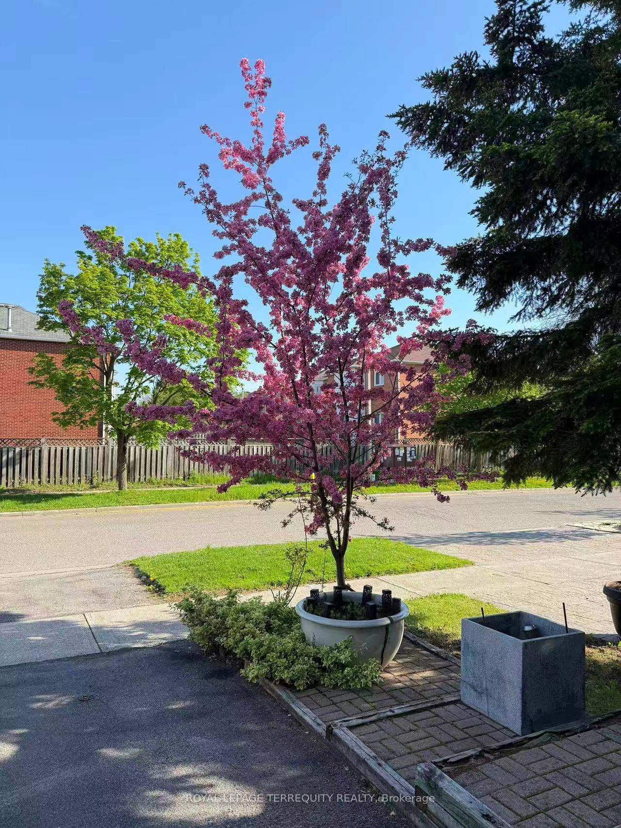 304 Charlton Avenue, Vaughan, ON - Outdoor With View