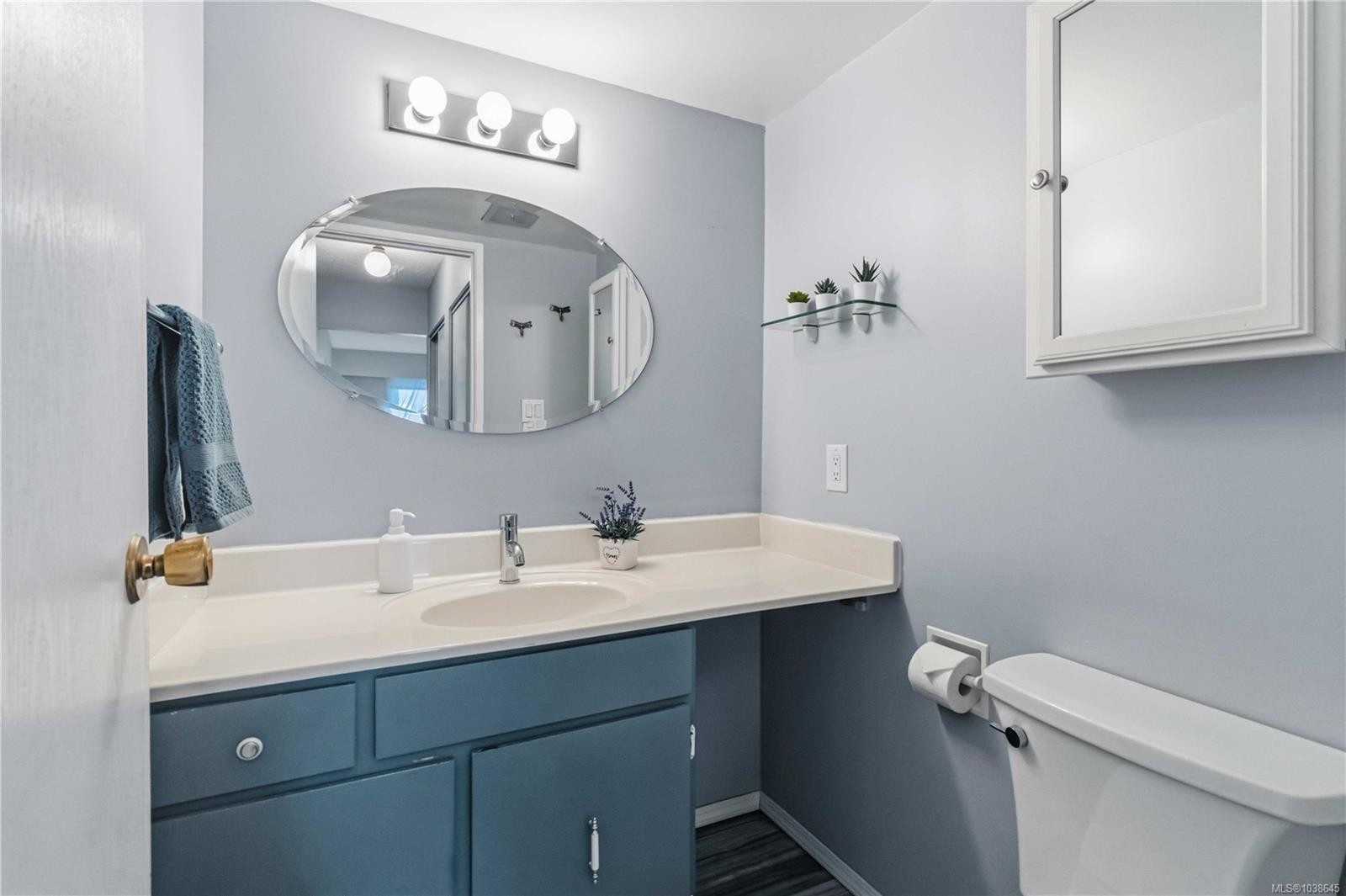 #203-1665 Oak Bay Ave, Victoria, BC - Indoor Photo Showing Bathroom