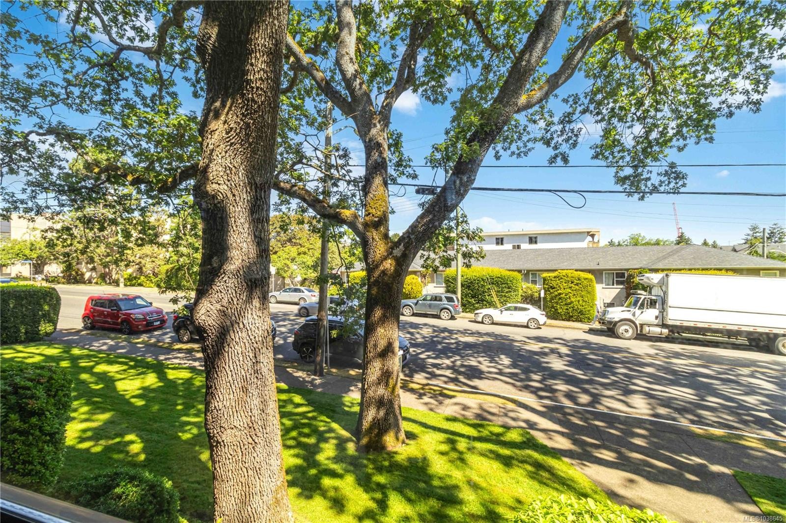 #203-1665 Oak Bay Ave, Victoria, BC - Outdoor With View