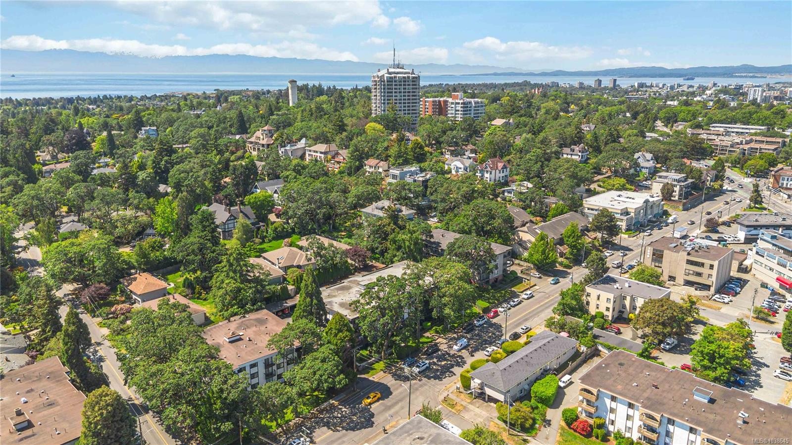 #203-1665 Oak Bay Ave, Victoria, BC - Outdoor With View