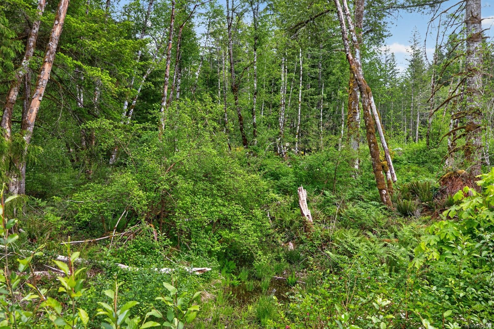 5160 Cowichan Lake Rd, Duncan, BC