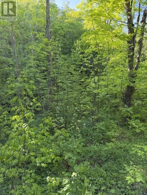 14728 Heritage Road, Caledon, ON