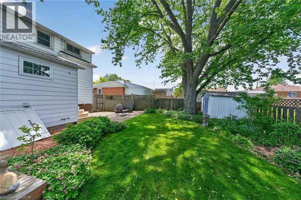 Expansive green lawn with mature shade tree - 439 Murray Street, Grimsby, ON - Outdoor