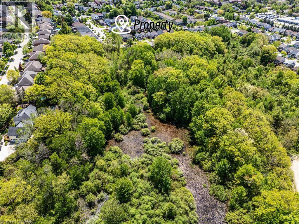423 Veronica Drive, Kitchener, ON - Outdoor