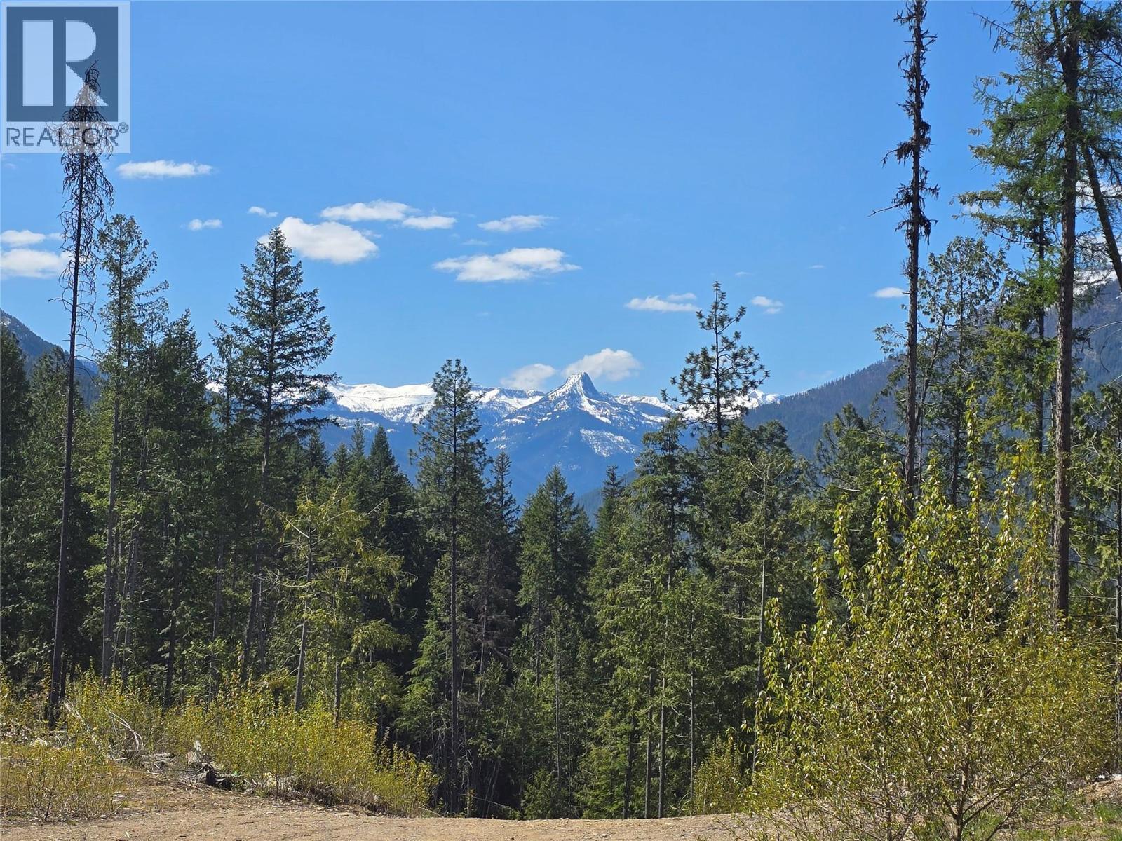 5396 6 Highway, Winlaw, BC - Outdoor With View