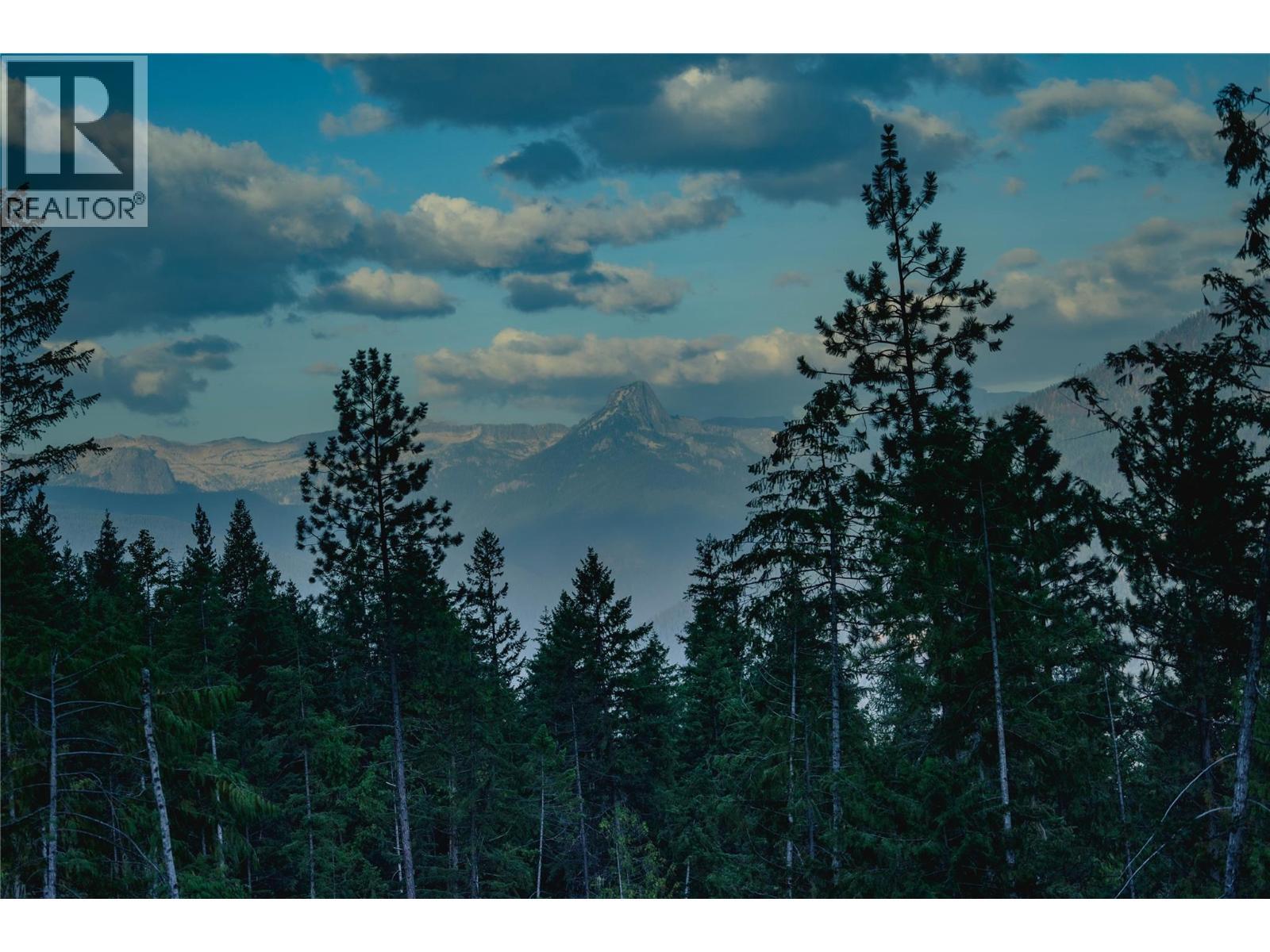 5396 6 Highway, Winlaw, BC - Outdoor With View