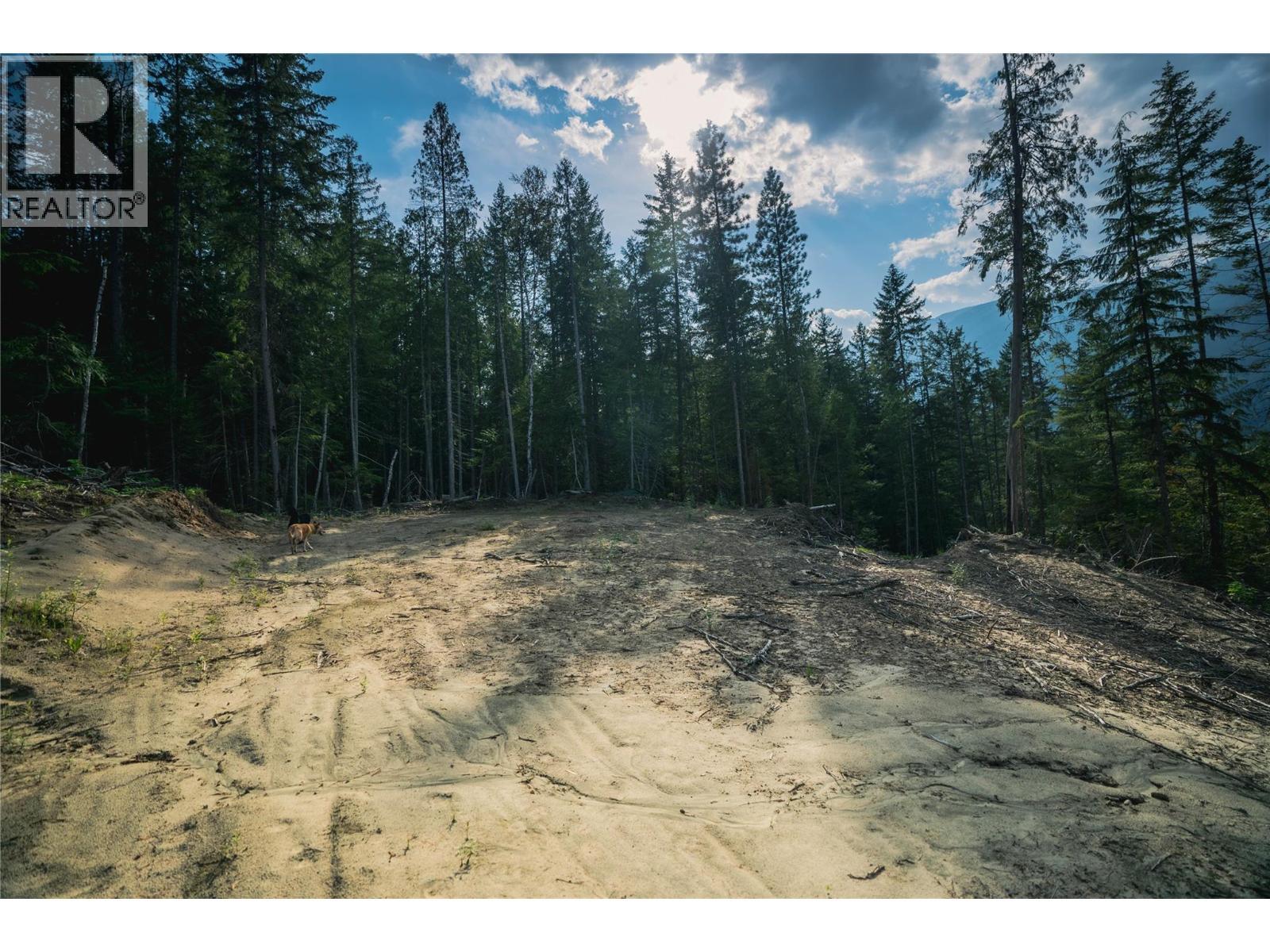 5396 6 Highway, Winlaw, BC - Outdoor With View
