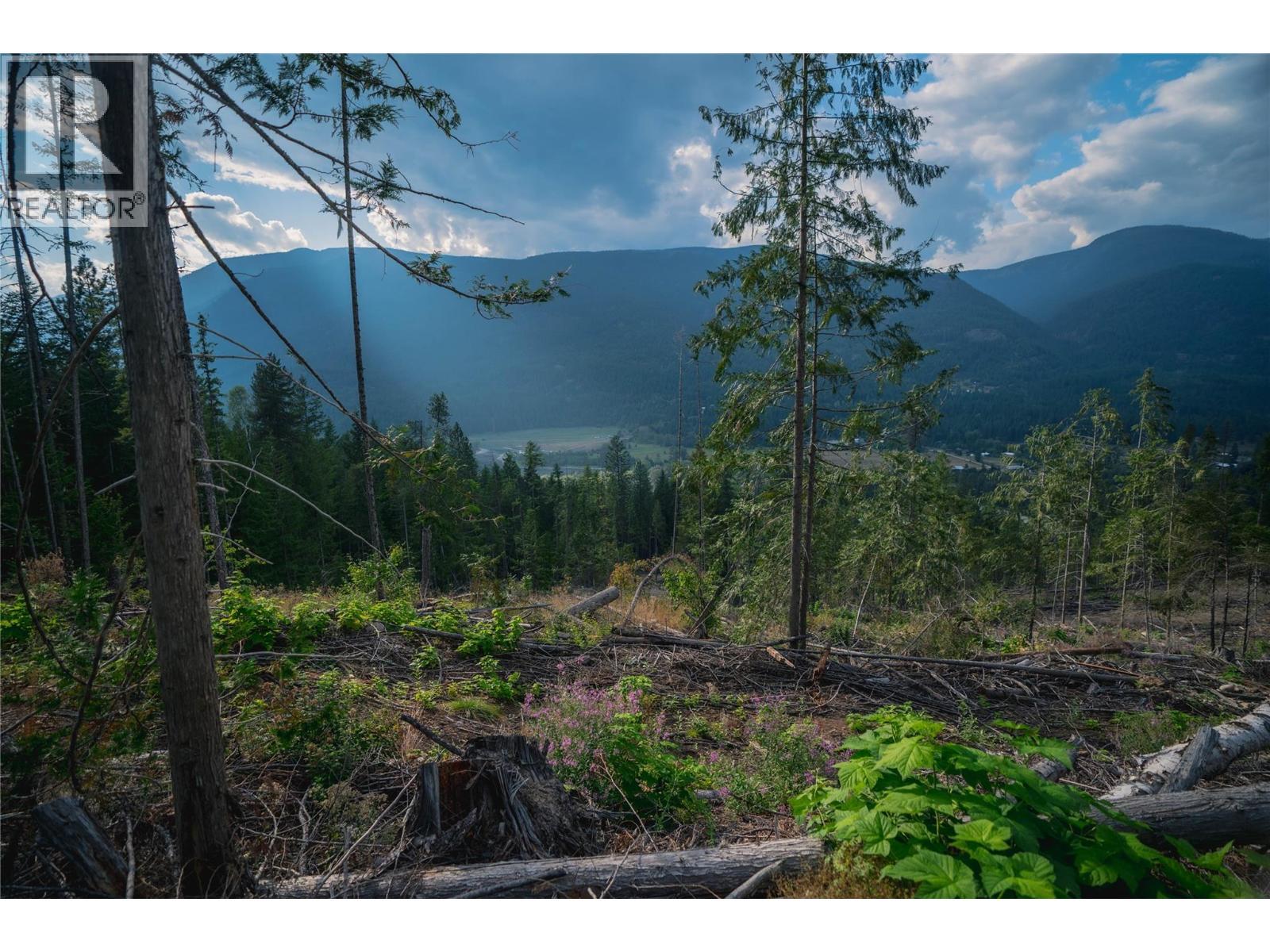5396 6 Highway, Winlaw, BC - Outdoor With View
