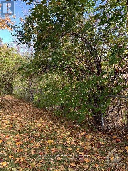 - - 84 Paddington Street, Ottawa, ON - Outdoor