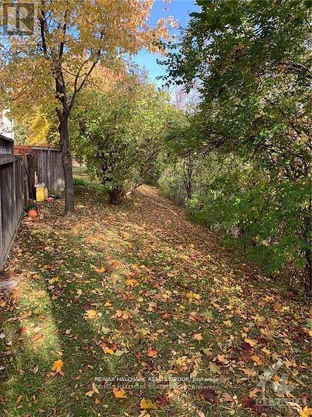 - - 84 Paddington Street, Ottawa, ON - Outdoor