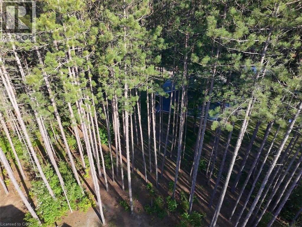 25350 C Hwy 62, Bancroft, ON - Outdoor With View