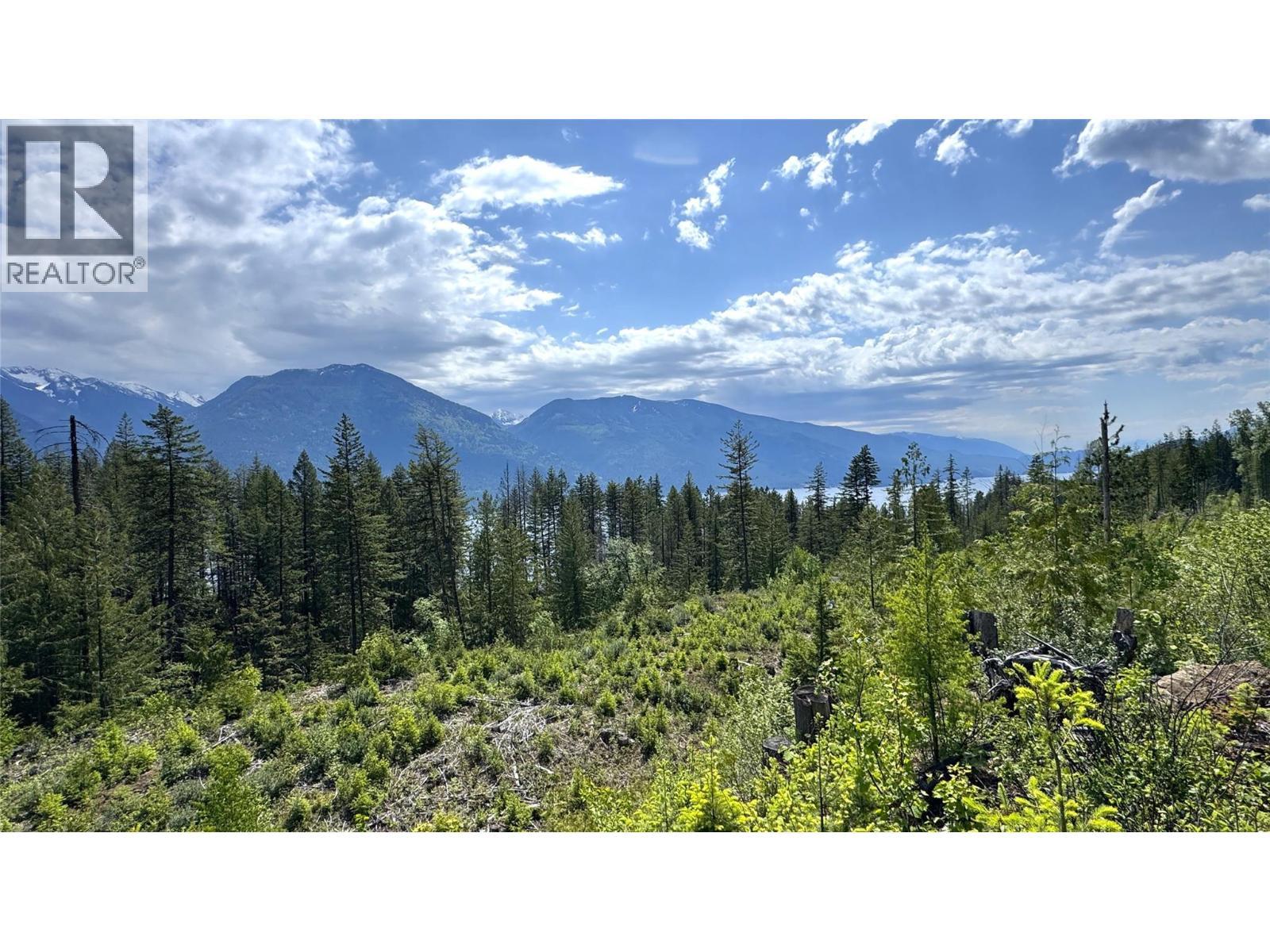 View from the upper lot bench - 4761 Highway 31, Fletcher Creek, BC