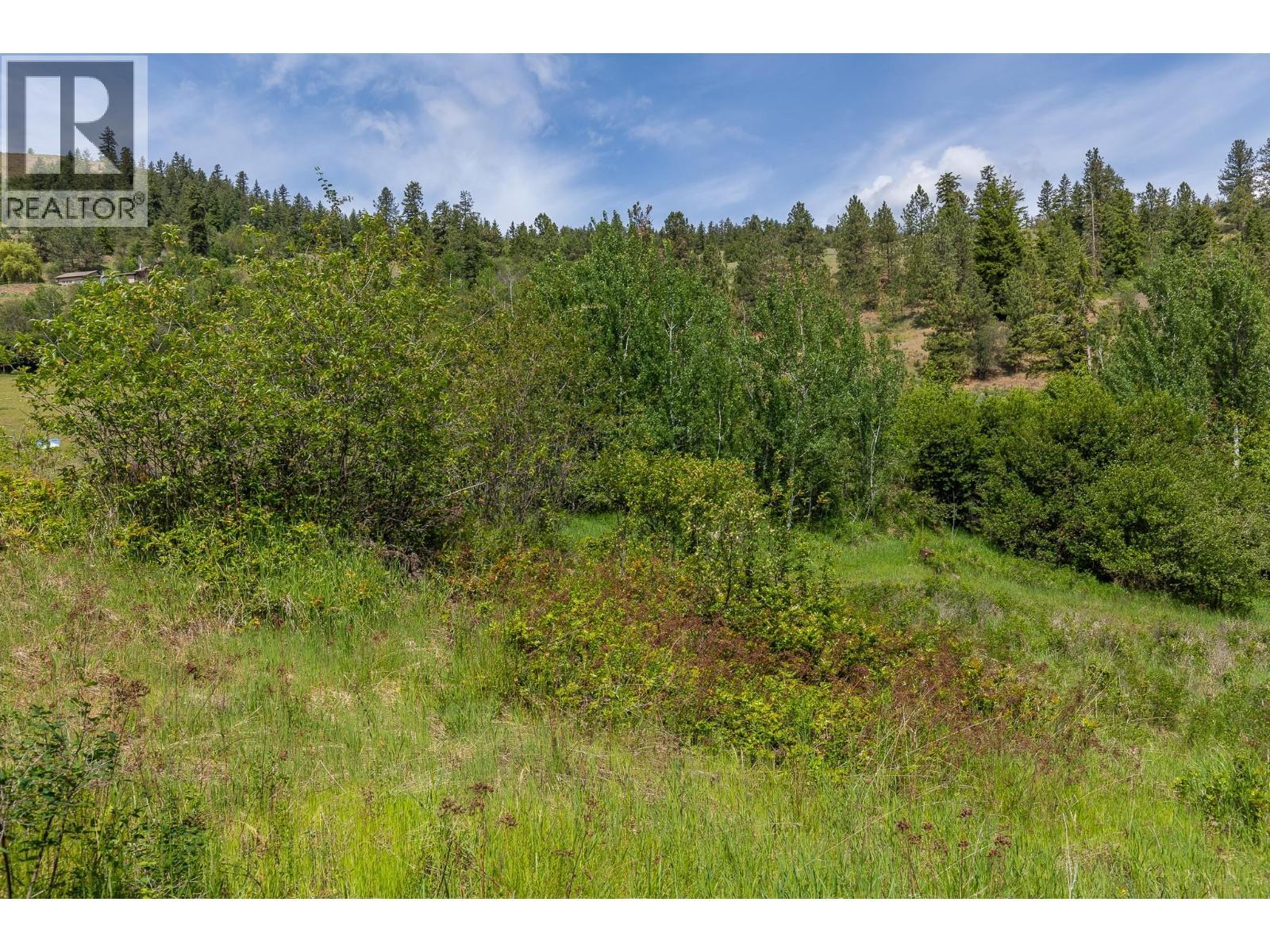 Proposed Lot B 1212 Page Road, Spallumcheen, BC