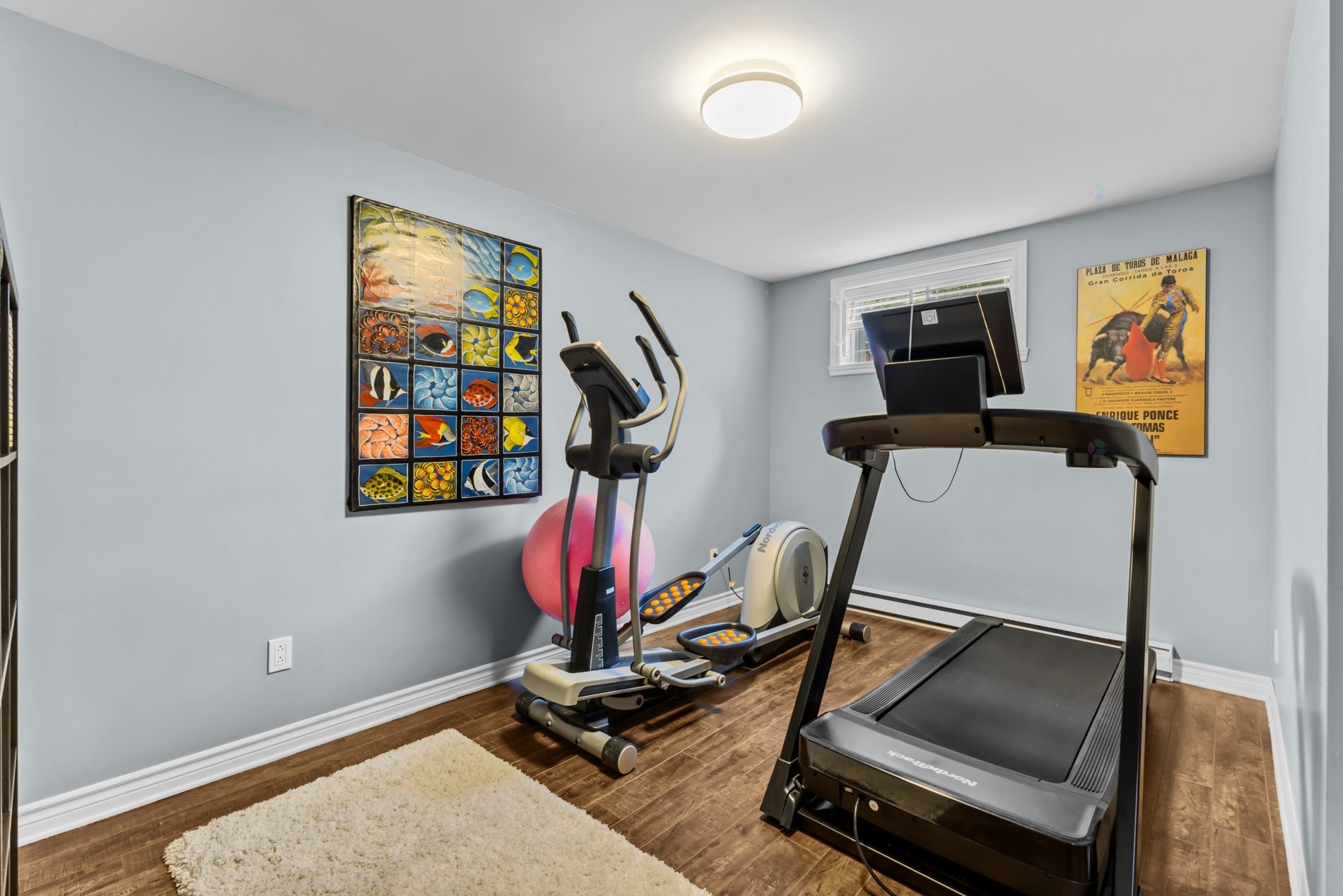 Basement - 2654Z Rue Anne-Hébert, Montréal (Mercier/Hochelaga-Maisonneuve), QC - Indoor Photo Showing Gym Room
