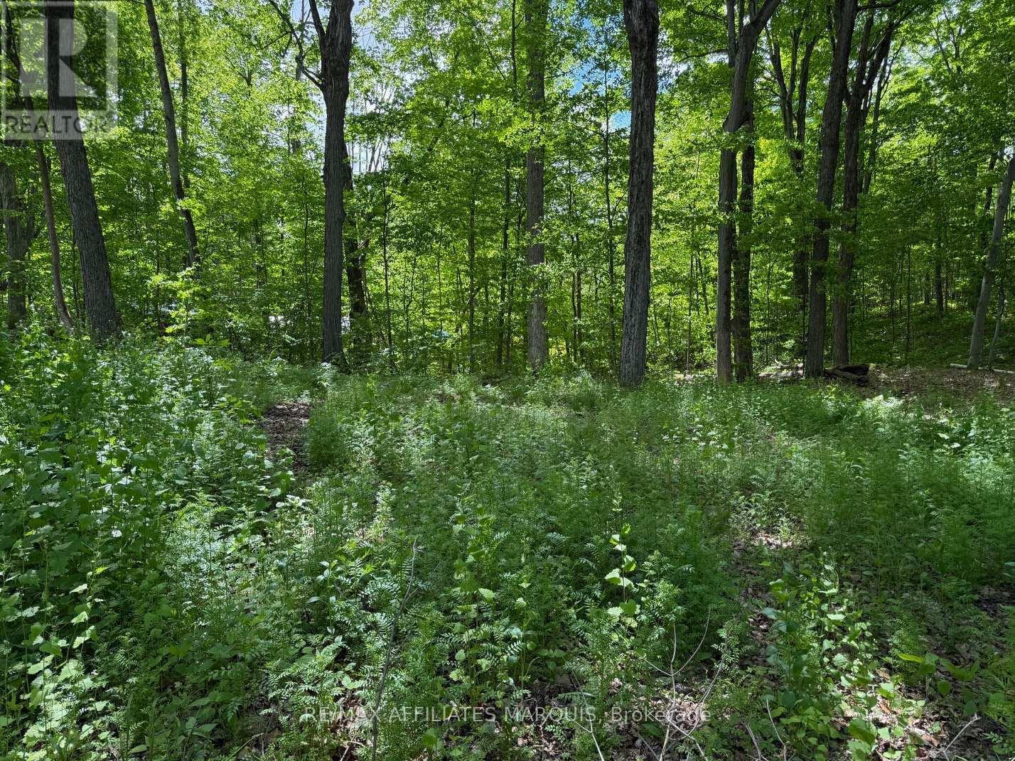 325 Cedar Sands Road, Rideau Lakes, ON