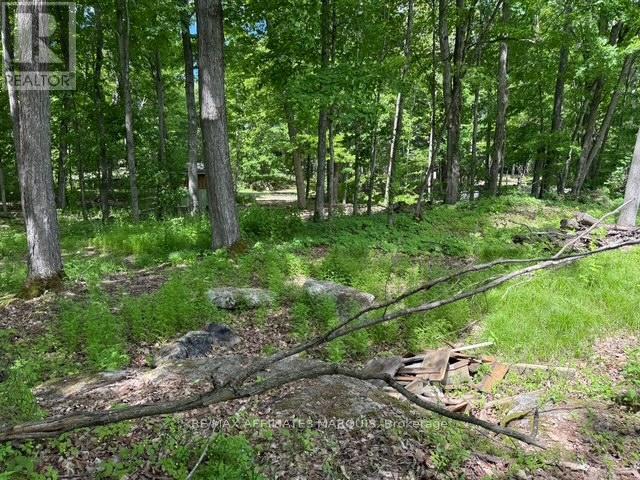 325 Cedar Sands Road, Rideau Lakes, ON