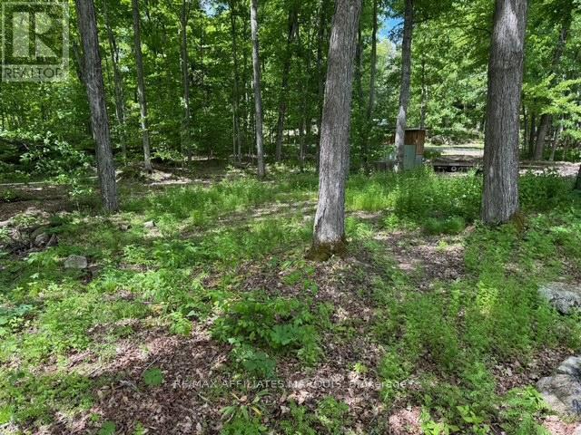 325 Cedar Sands Road, Rideau Lakes, ON