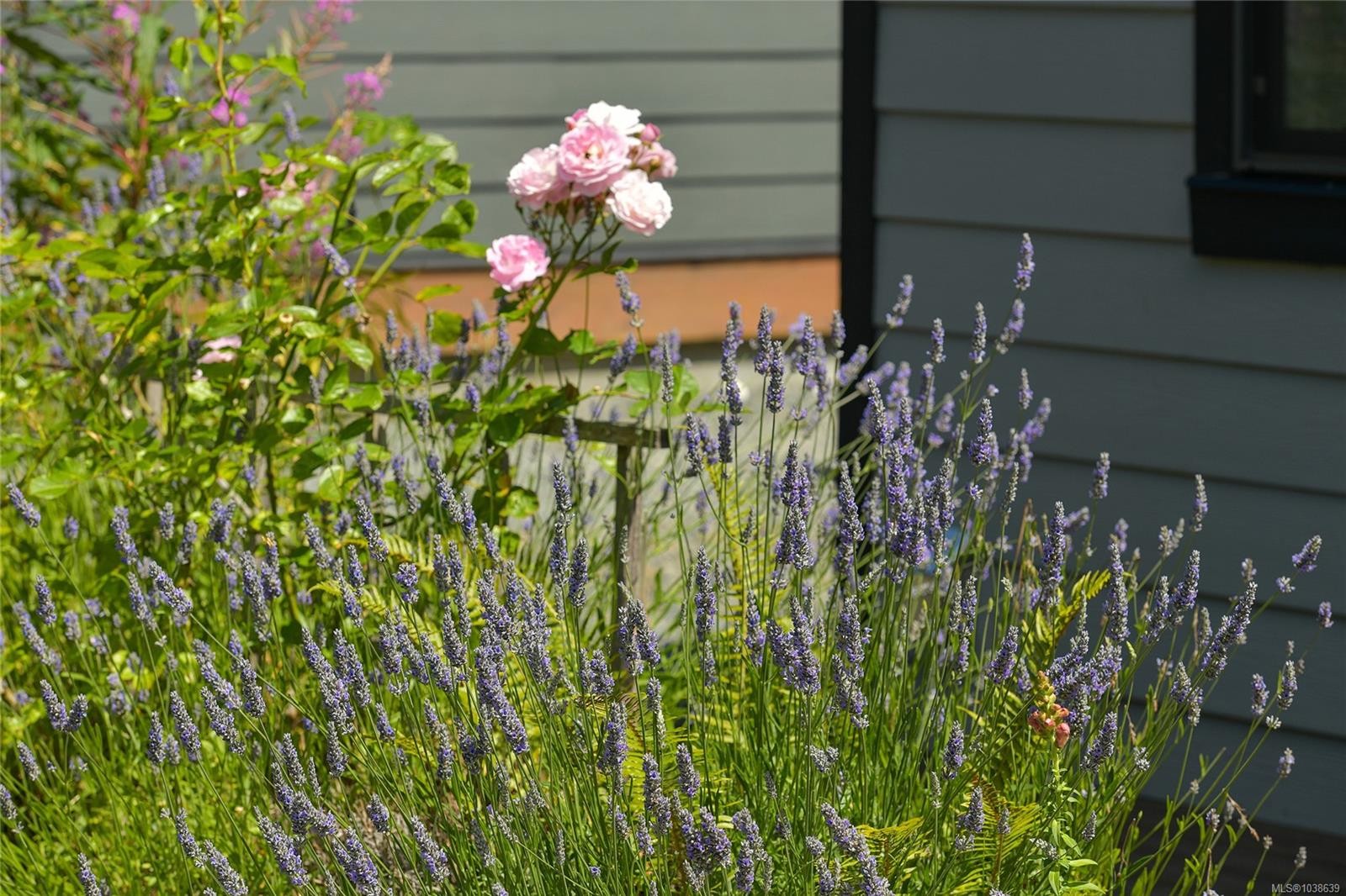 3822 Trailhead Dr, Sooke, BC