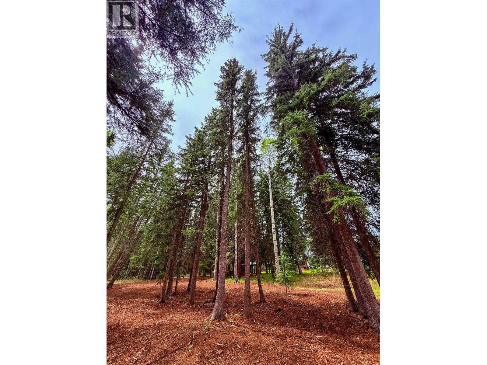 7532 Thomas Point Road, Sheridan Lake, BC - Outdoor With View