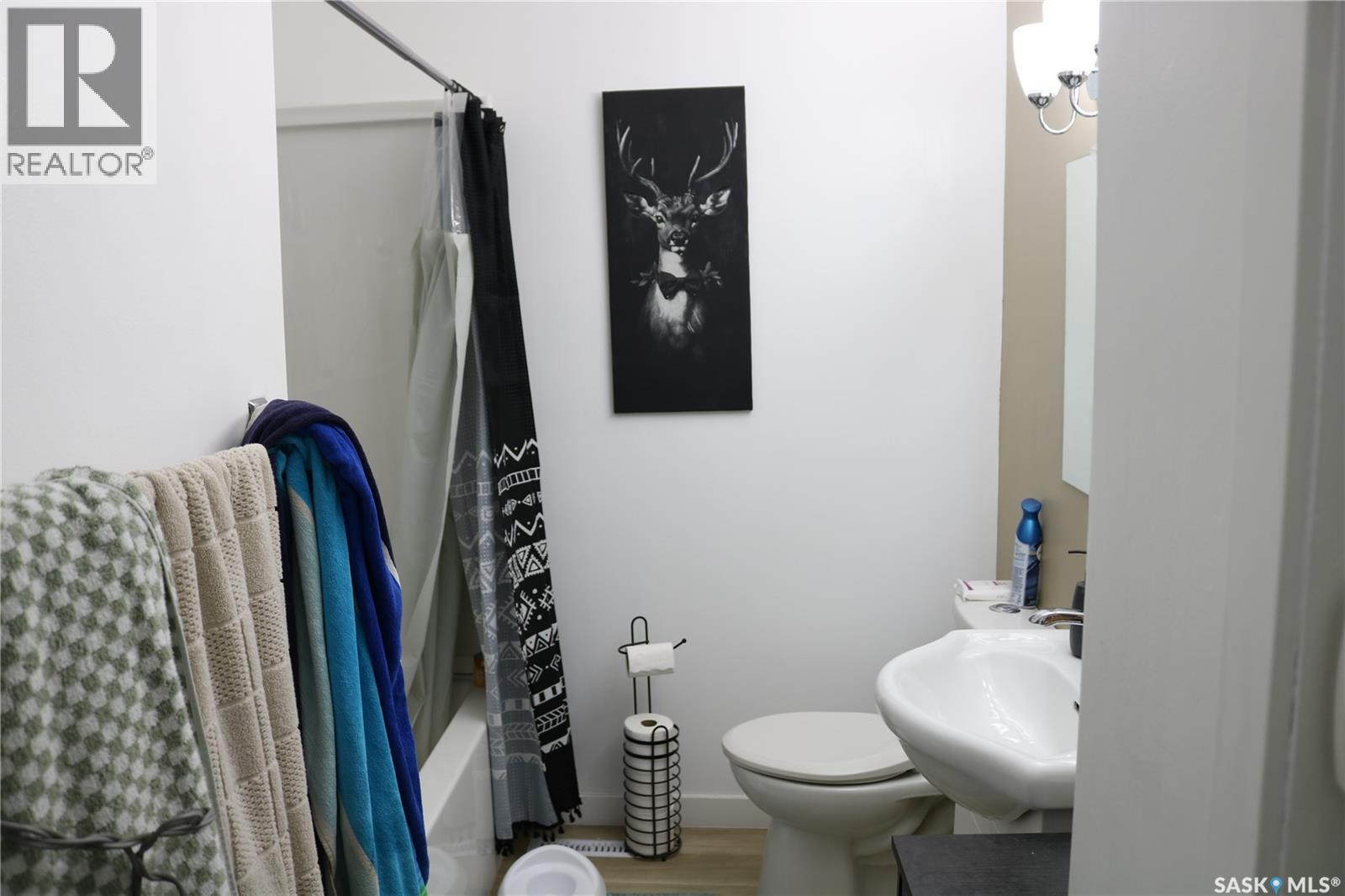 202 Main Street, Young, SK - Indoor Photo Showing Bathroom