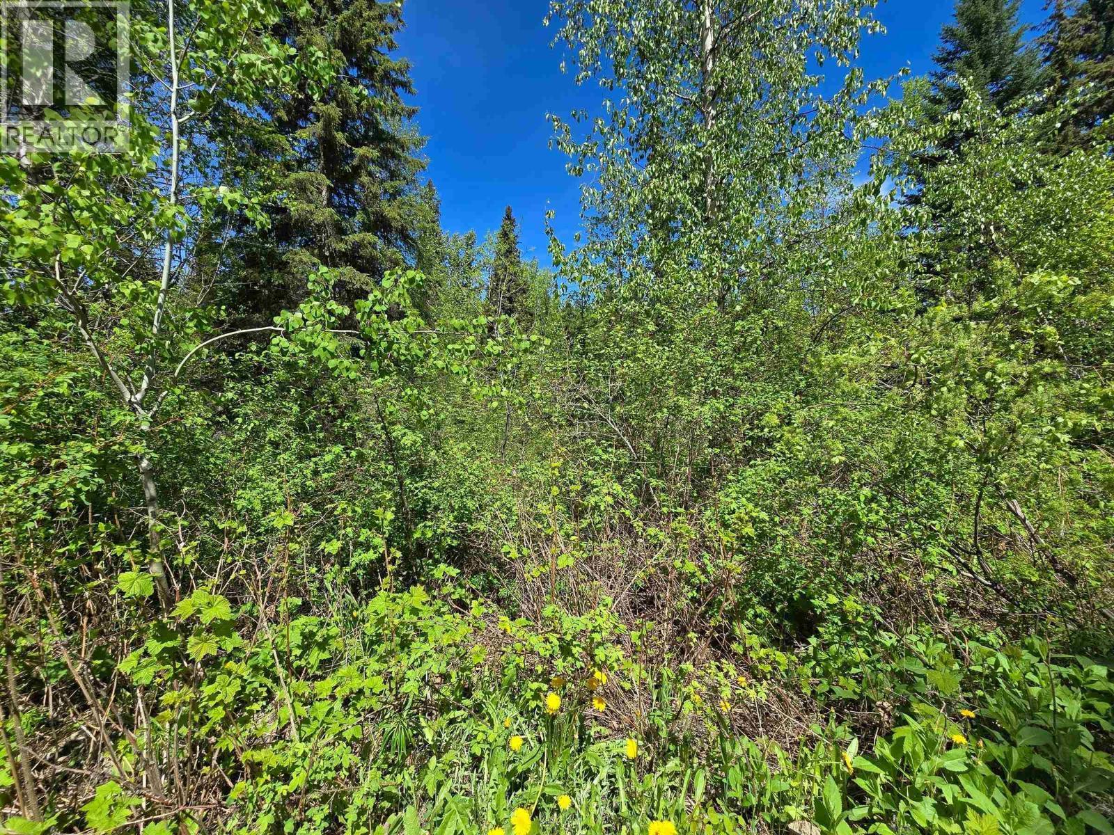 4209 Antoine Lake Road, Horsefly, BC - Outdoor