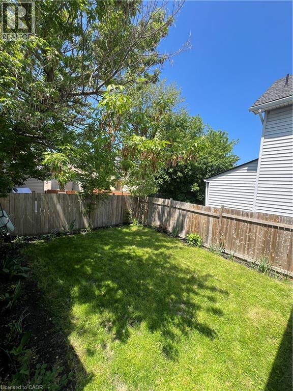 Fenced backyard with established lawn, mature trees, and visible residential siding - 179 S Vine Street S, St. Catharines, ON