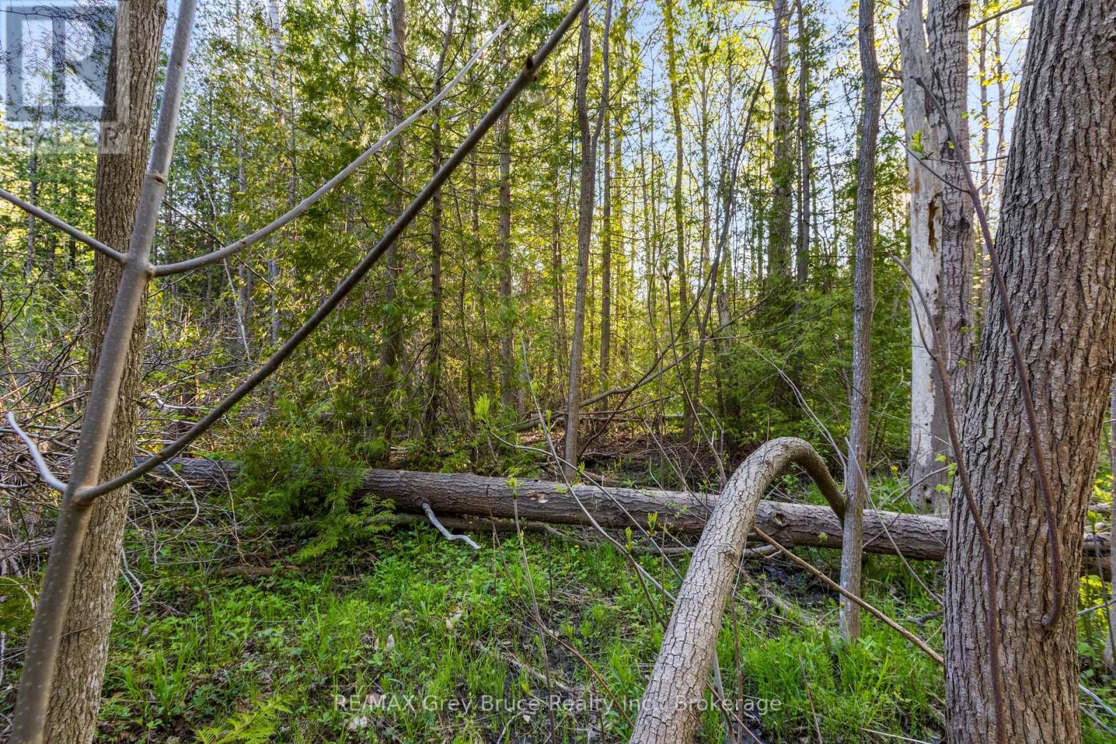 71 Maple Drive, Northern Bruce Peninsula, ON