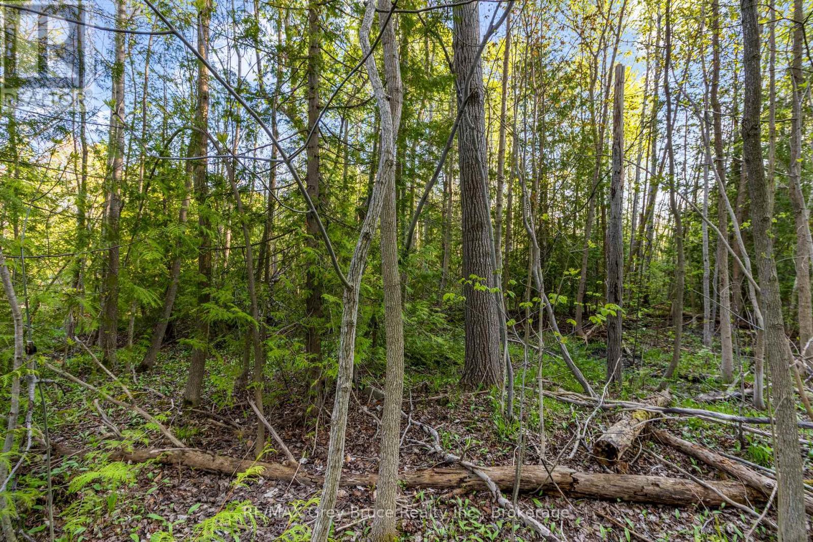 71 Maple Drive, Northern Bruce Peninsula, ON