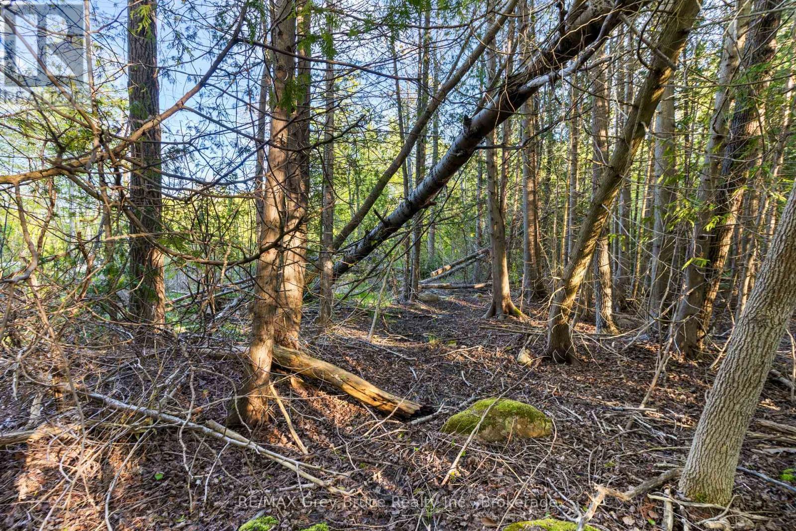 71 Maple Drive, Northern Bruce Peninsula, ON