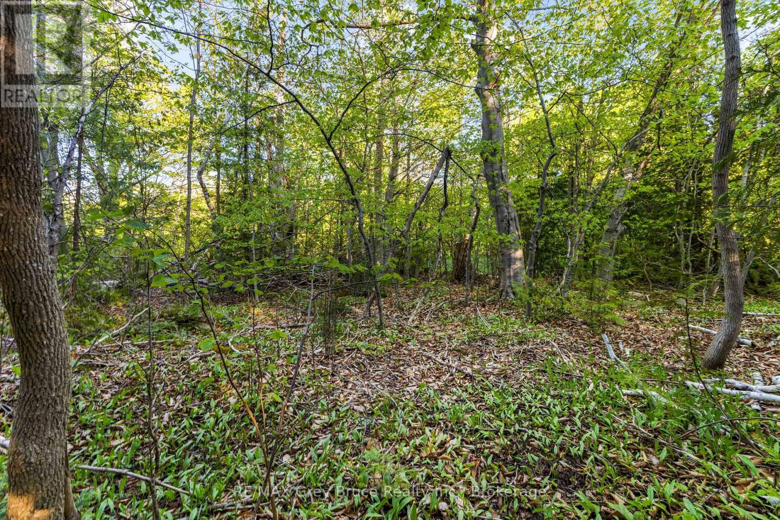 71 Maple Drive, Northern Bruce Peninsula, ON