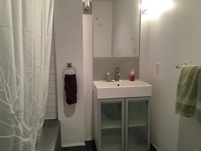 Bathroom - 2184 Av. De Lorimier, Montréal (Le Plateau-Mont-Royal), QC - Indoor Photo Showing Bathroom