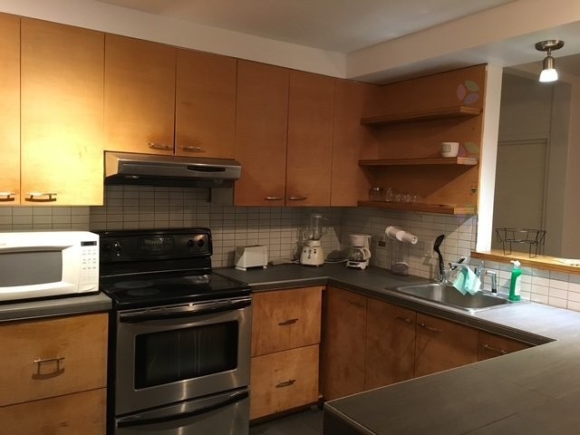 Kitchen - 2184 Av. De Lorimier, Montréal (Le Plateau-Mont-Royal), QC - Indoor Photo Showing Kitchen With Double Sink
