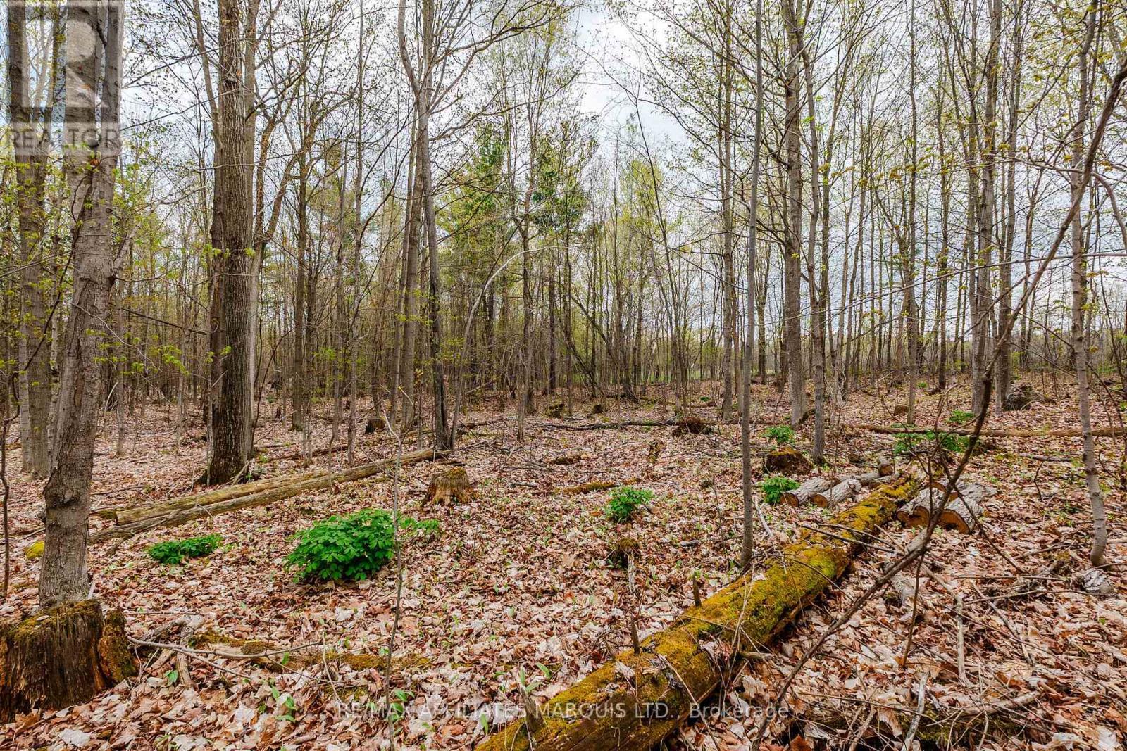 00000 Beaver Brook Road, South Glengarry, ON