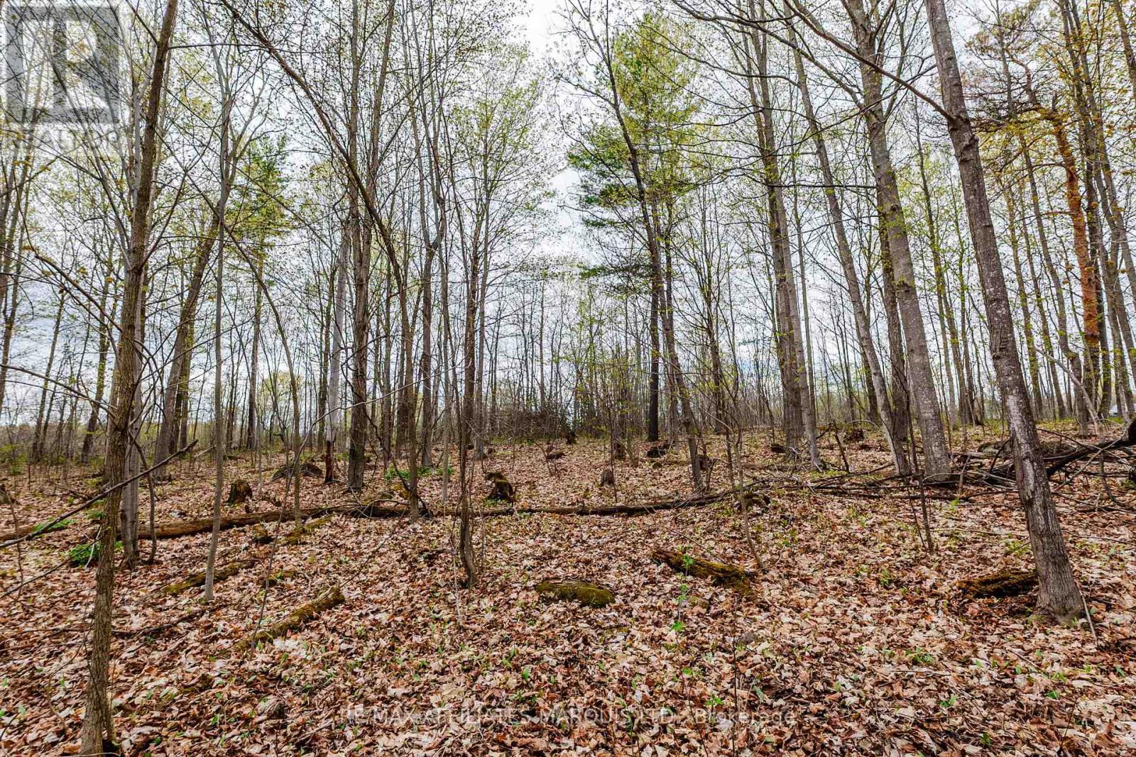 00000 Beaver Brook Road, South Glengarry, ON