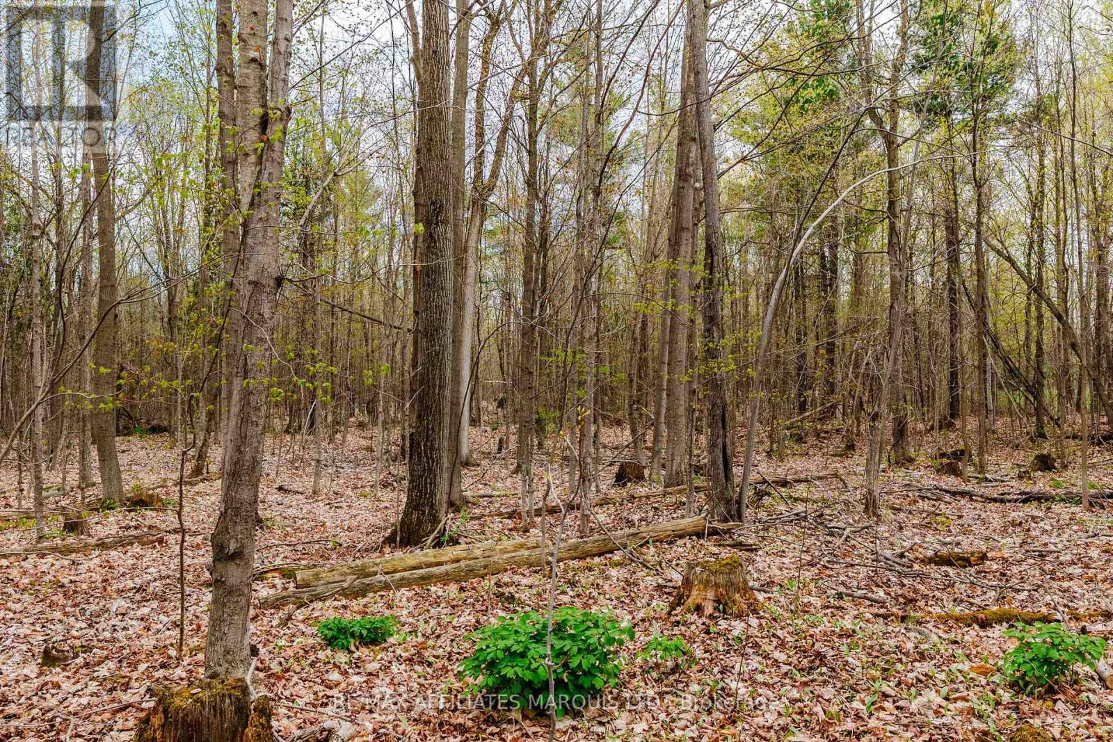 00000 Beaver Brook Road, South Glengarry, ON