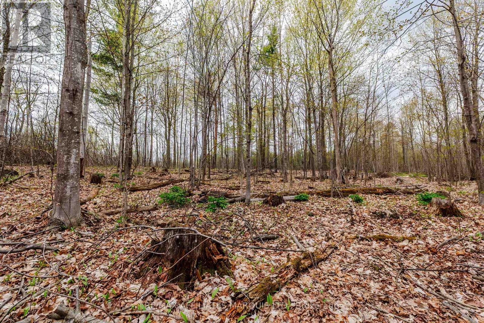 00000 Beaver Brook Road, South Glengarry, ON